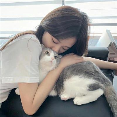 致亲爱的提奥